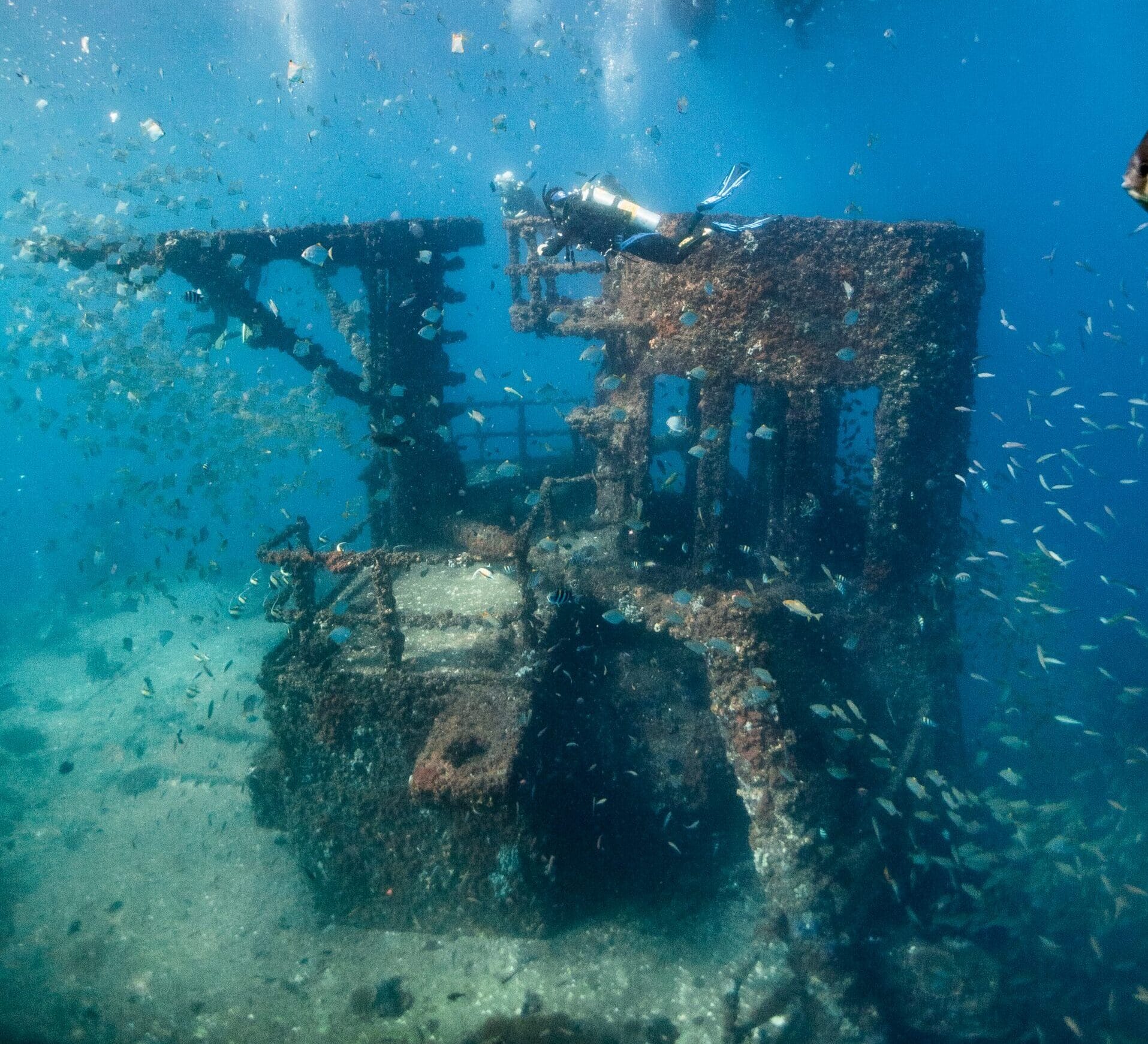 HMAS Brisbane Dive PADI Sunshine Coast Book Today